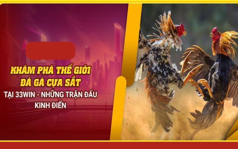 Đá Gà Cựa Sắt Là Gì?