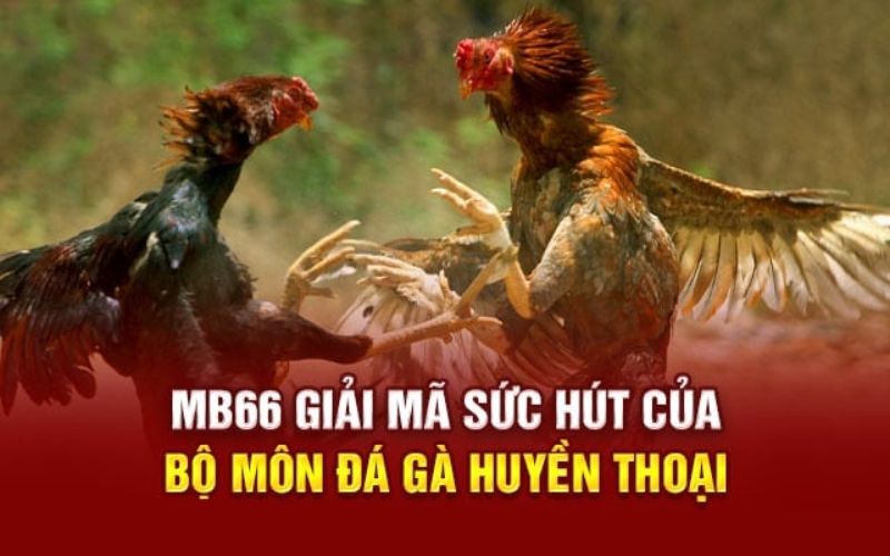 Kinh Nghiệm Chơi Đá Gà Mb66 Hiệu Quả